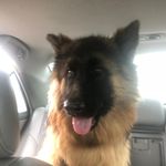 Christine Ramey - @cramey60 - Instagram