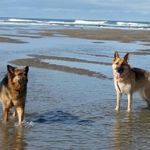 Christine Ramey - @christine.ramey.75 - Instagram