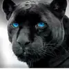 Christine Rivers619 - @user6236336259064 - TikTok