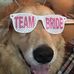 Christine Robison - Facebook