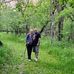 Christine Robison - Facebook
