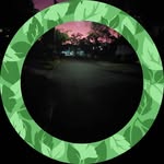 Christine Roser - @christineroser1309 - Instagram
