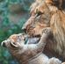 Christine Scharf - Facebook