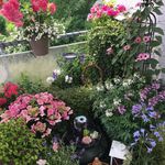 Christine Scharf - @tinechris65 - Instagram