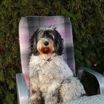 Christine Seitz - @christine.seitz.10 - Instagram