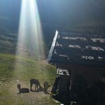 Christine Seitz - @seitz7700 - Instagram