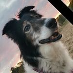 Christine Seitz - @seitz4984 - Instagram