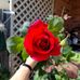 Christine Severs Twible - Facebook