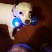 Christine Severin - Facebook
