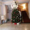 Christine Shepherd - @christine.shepher8 - TikTok