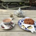 Christine Shepherd - @shepherd7473 - Instagram