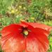 Christine Spinks - Facebook