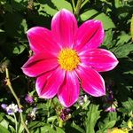 Christine Spinks - @cspinks_2020 - Instagram