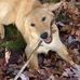 Christine Squires Walker - Facebook