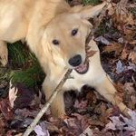 Christine Squires Walker - @christine.squireswalk - Instagram
