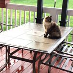 Christine Jerry Stitt - @stitt899 - Instagram