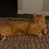 Christine Stitt767 - @08christine30 - TikTok