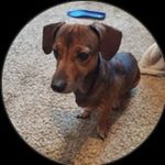 Christine Boykin Studer - @christine__studer - Instagram