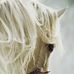 Christine Taplin - Facebook