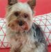 Christy Taplin - Facebook