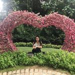 Christine Tong - @cctongtong - Instagram