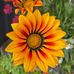 Christine Trainor - Facebook