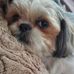 Christin Trudeau - Facebook