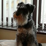 Christine Ware - @christineware553 - Instagram