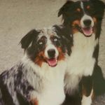 Christine Ware - @cenist3343 - Instagram
