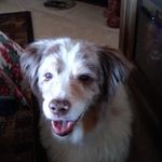 Christine Ware - @christine.ware.1257 - Instagram