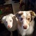 Christine Ware - Facebook