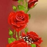 Christine Ware-Jones - @warejones - Instagram