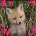 Christine Wareham - Facebook