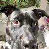 Christine🌱 - @christine.weber - TikTok