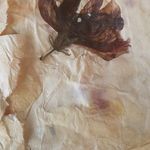 Christine Weber - @christine.weber.encre - Instagram