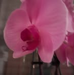Christine Weber - Facebook