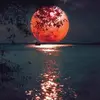 christineweber455 - @christineweber455 - TikTok
