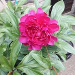 Christine Webster - @christine.webster.90281 - Instagram