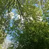 Christine Webster - @stevie.elaine.xox - TikTok