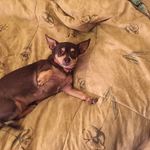 christine Weeks - @christineweeks65 - Instagram