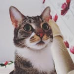 Christine Wegener - @lottina123 - Instagram