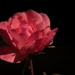Christine Werner - @christine.werner.5648 - Instagram