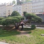 Christine Werner - @christinewerner57 - Instagram