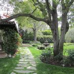 Christine Werner - @christine.werner.9480 - Instagram