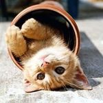 Christine Werner - @christine.werner.127 - Instagram