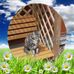 Christine Wesson - Facebook