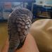 Christine Wesson - Facebook