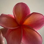 Christina Wheaton - @wheaton_christina - Instagram
