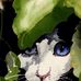 Christine Wild - Facebook