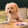 Christine Wilhelm790 - @christinewilhelm7 - TikTok